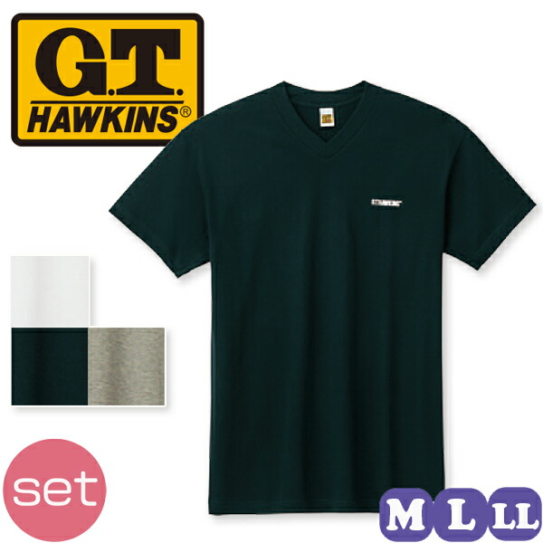 グンゼ G.T.HAWKINS ホーキンス VネックTシャツ HK2115B 10枚セット M/L/LL