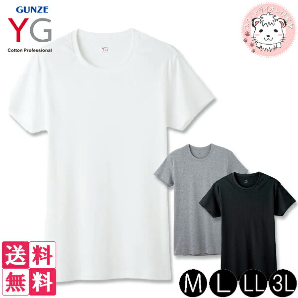 楽天市場】グンゼ ホーキンス Tシャツ 半袖 丸首 綿100% M/L/LL
