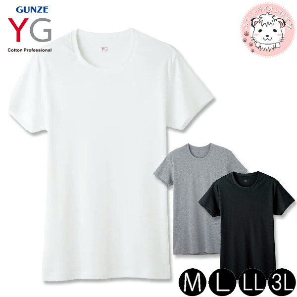 GＩNG NANG BOYZ Tシャツセット Lサイズ 銀杏BOYZ × TANGTANG Tシャツ SKOOL KILL - メルカリ