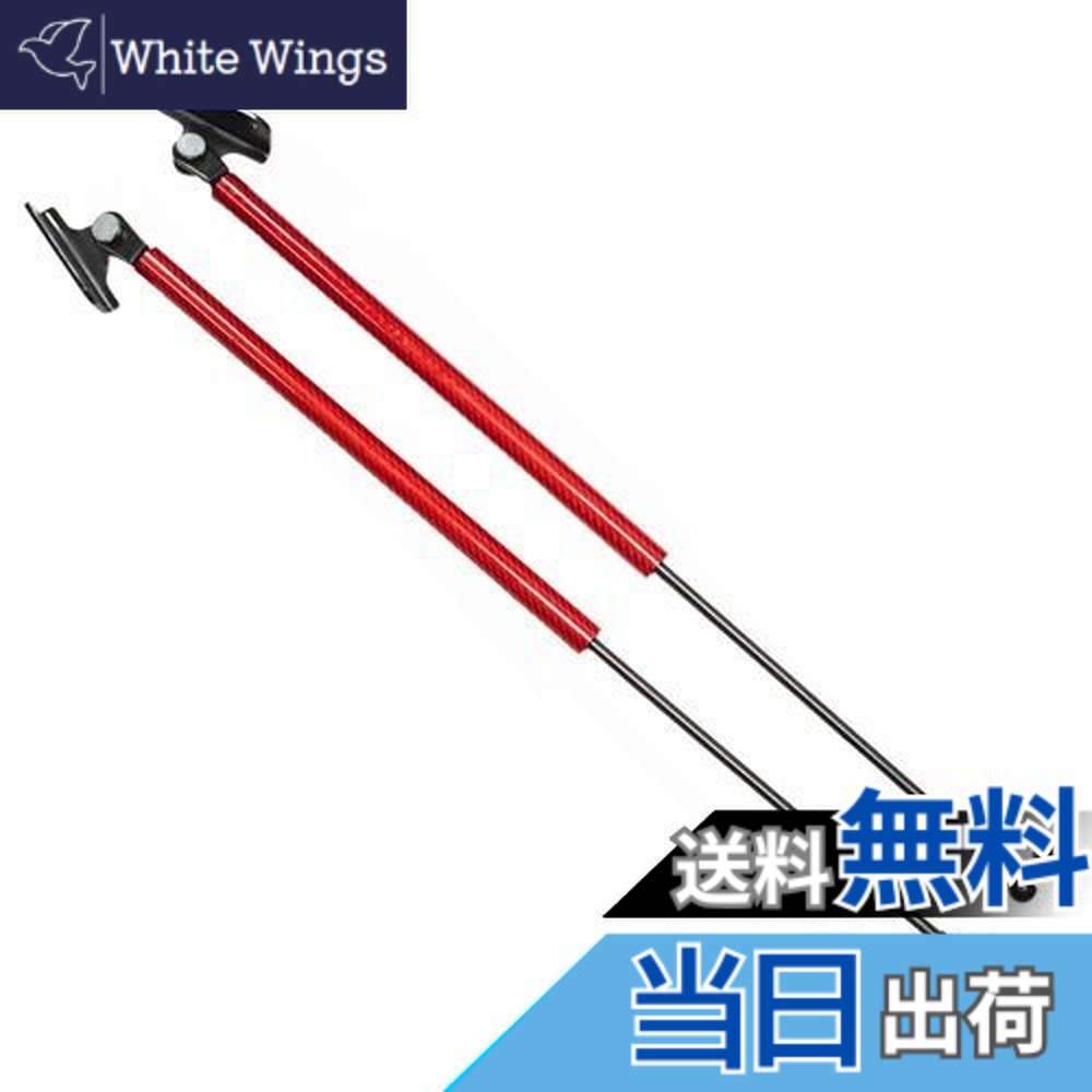 【送料無料】XIANGSHANG 2005-2010 スバル R1 初代 RJ系(RJ1 RJ2) リアゲートダンパー 63269KG020 バックドアダンパー リアハッチダンパー トランクダンパー 車検対応 交換用品 2本組 赤カーボン [並行輸入品]｜White Wings