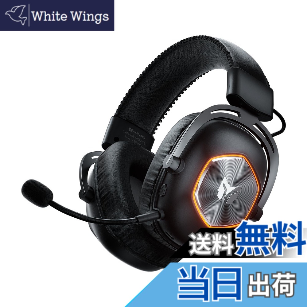 【送料無料】Black Shark ワイヤレス イヤホン 色：ブラック、サイズ：X4-Black