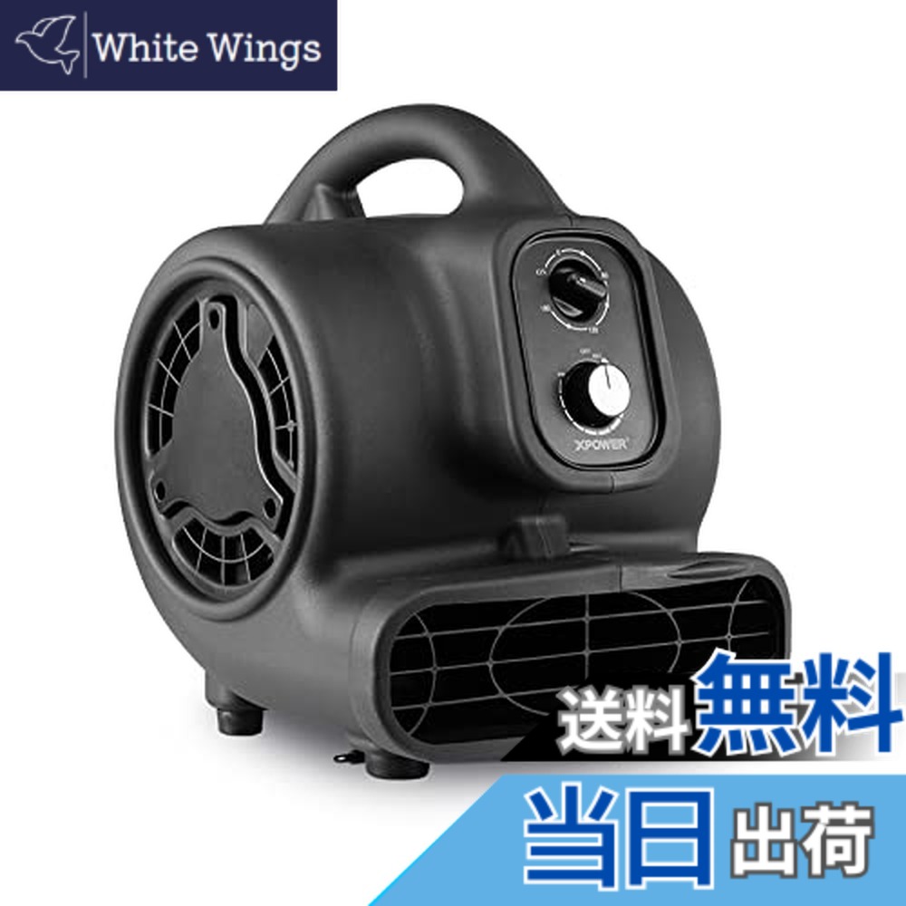 【送料無料】XPOWER多機能移動共用ファン乾燥機空気臭除去器ブロア、回復用およびダクト用 色：Black、サイズ：P-250DT