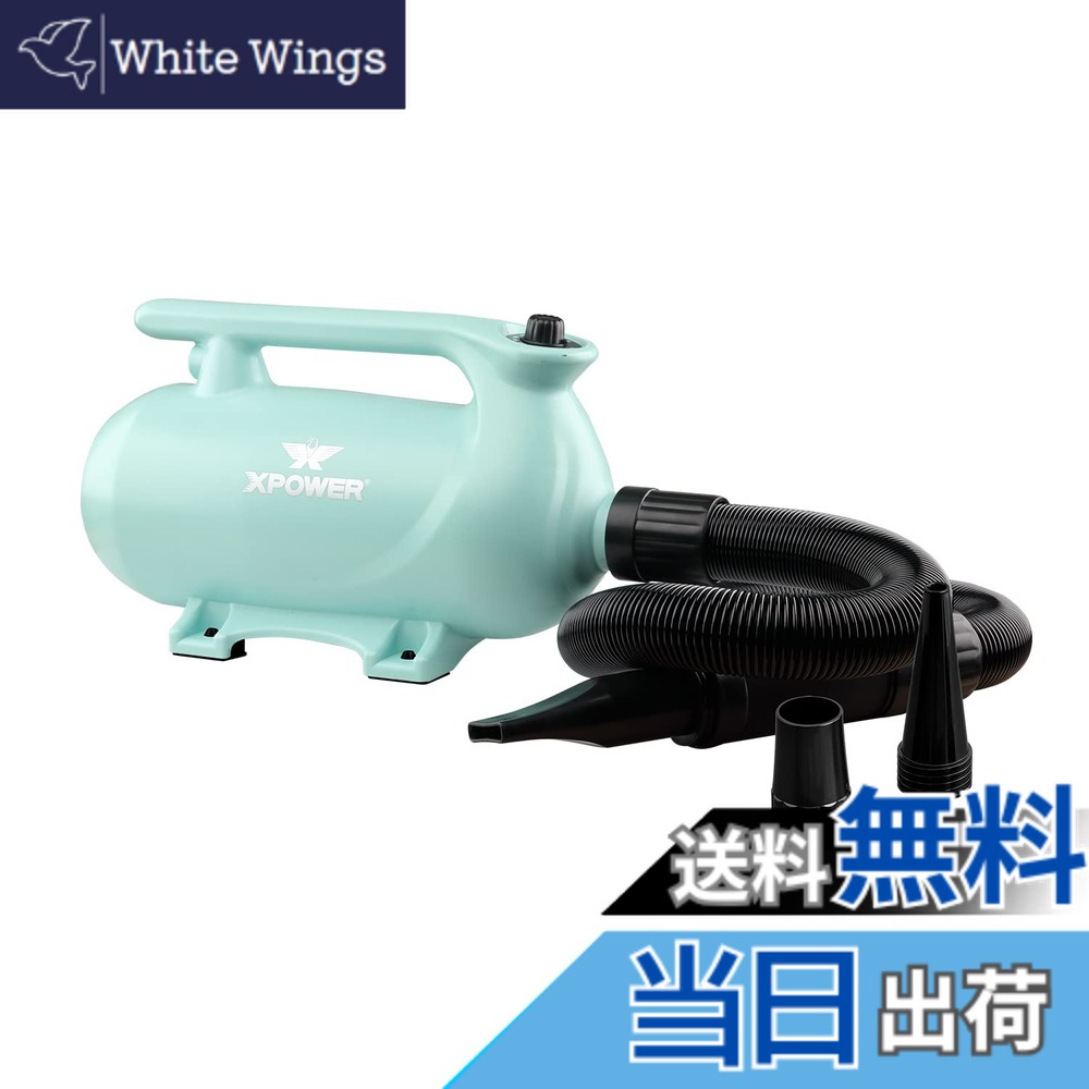 【貨物輸送無料】XPower B-163 愛玩動物ドライヤー 低耳障りな音 二座標軸合わせる能力のあるな熱備え付ける 参のノズル付き添い人 持ちはこび用愛玩動物用ドライヤー 3色オプション 色：緑であること