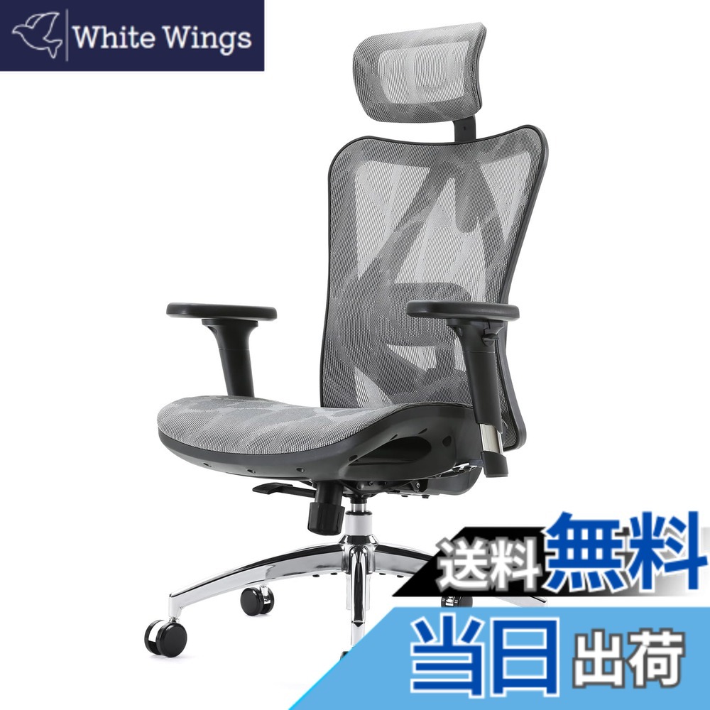 【送料無料】SIHOO M57 メッシュチェア オフィスチェア 人間工学 椅子 疲れない デスクチェア「S字立体背もたれ 3Dアームレスト 可動式ランバーサポート 126°リクライニング 2Dヘッドレスト」pcチェア メッシュ パソコン 人体工学椅 ワーク 事 色：グレー、サイズ：大型