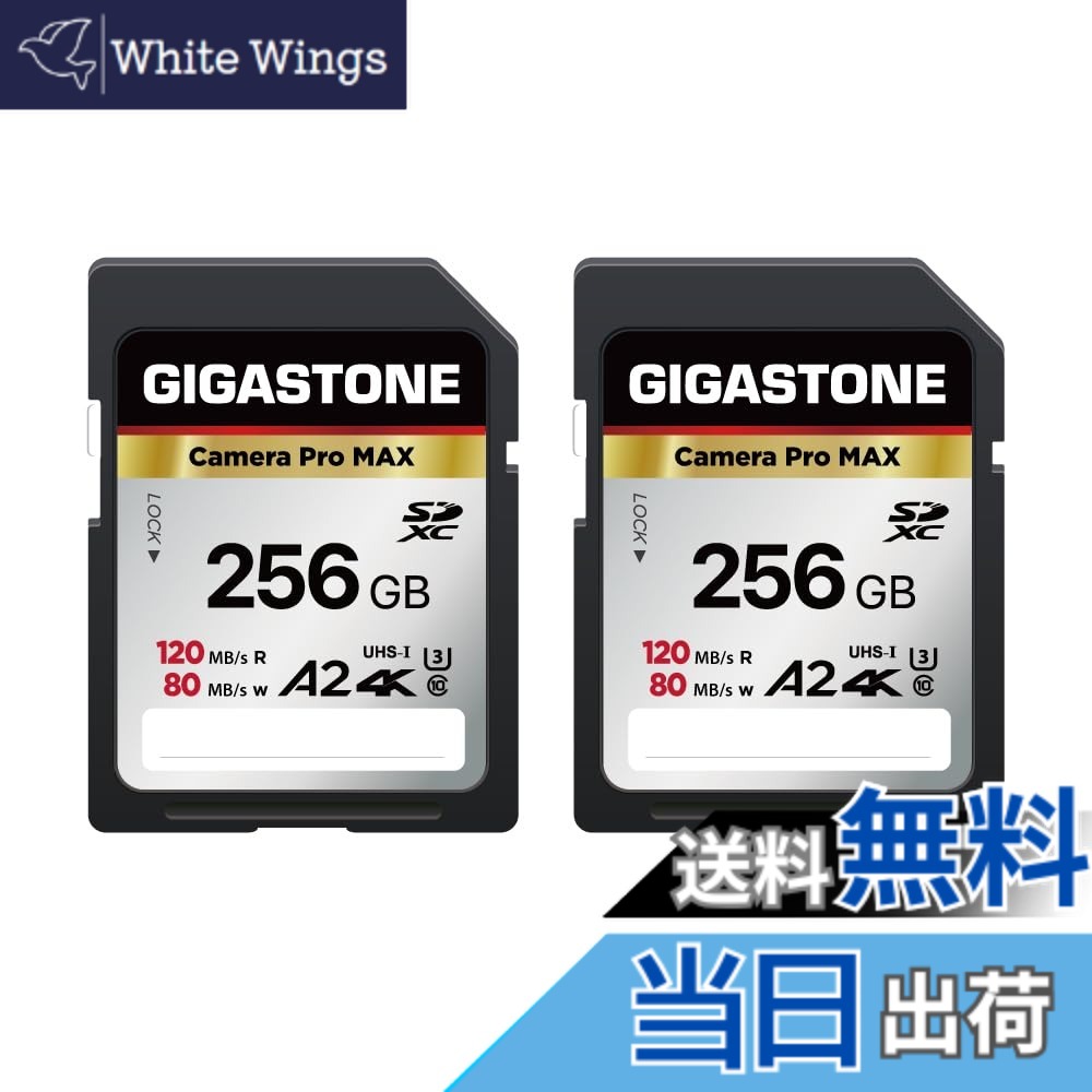 【貨物輸送無料】Camera Pro Series 3 色：256GB Camera Pro MAX 2枚仕掛ける、大きさ：SD 256GB V60 2PK