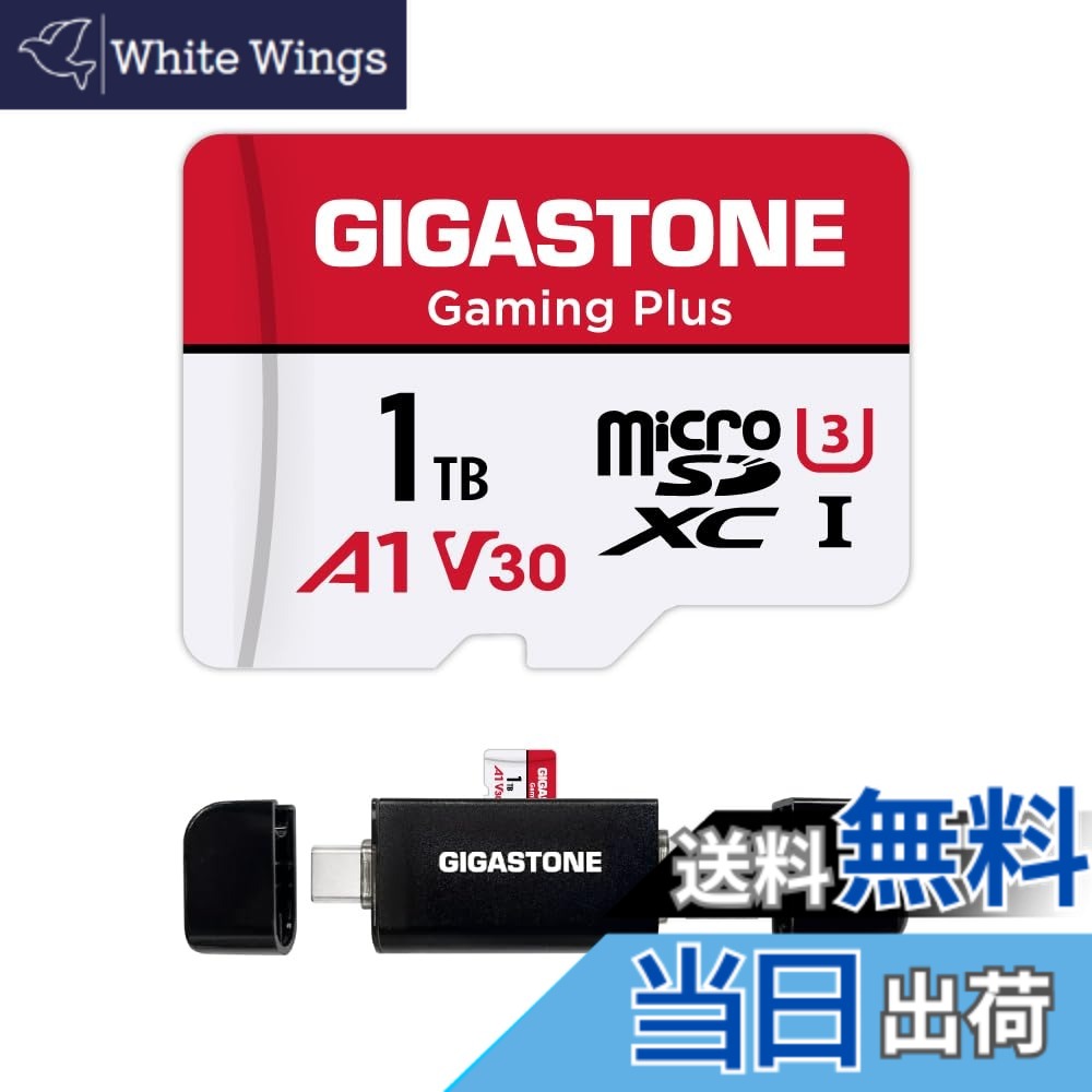 【貨物輸送無料】GIGASTONE マイクロsd歌留多 1結核症-2-1 Core Group 色：1結核症 Gaming Plus 1枚+Type C歌留多愛読者、大きさ：1結核症
