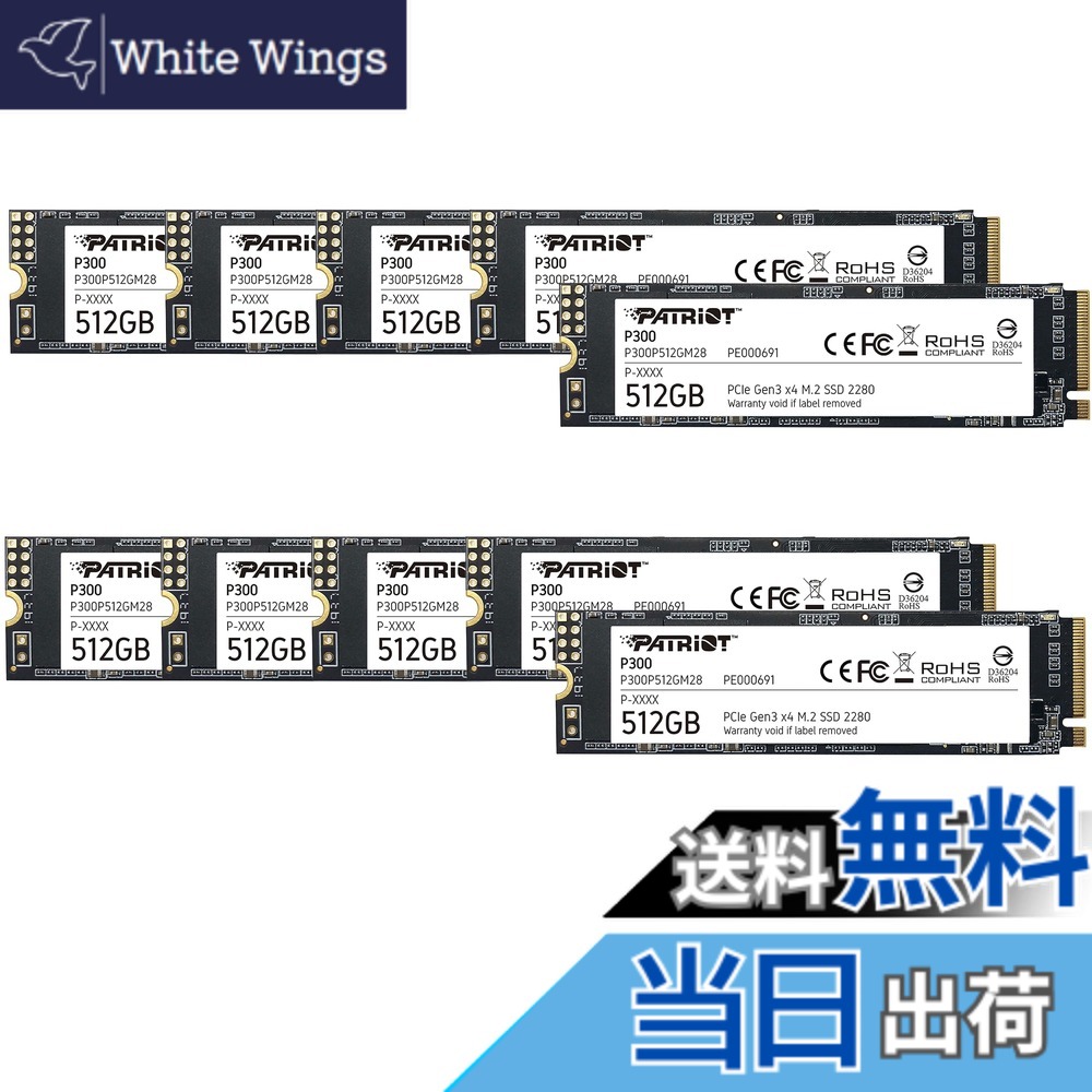 【送料無料】Patriot P300 Internal SSD - NVMe PCIe Gen 3x4 - M.2 2280-10 Pack Parent 色：ブラック、サイズ：512GB 10 Pack