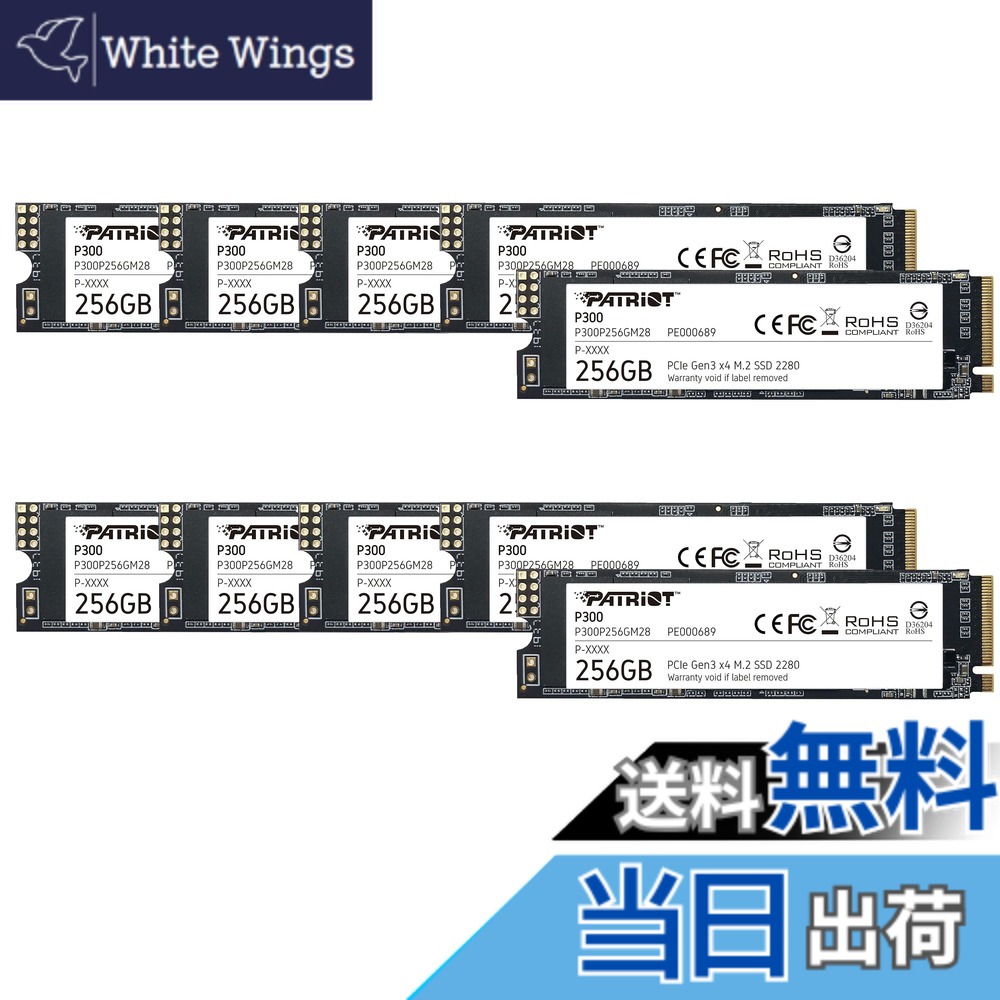 【貨物輸送無料】Patriot P300 Internal SSD - NVMe PCIe Gen 3x4 - M.2 2280-10 Pack Parent 色：黒いこと、大いさ：256GB 10 Pack