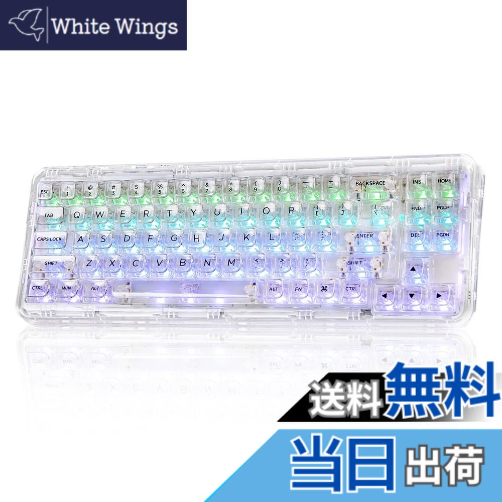 【送料無料】YUNZII X71 メカニカルゲーミングキーボード 透明キーキャップ 71キー 68%配列 ワイヤレス ホットスワップ対応 BT5.0/2.4G/USB-C ガスケット搭載 RGB 無線 Windows/Mac用 技適認証取得 色：ホワイト、サイズ：クリスタルアイス軸