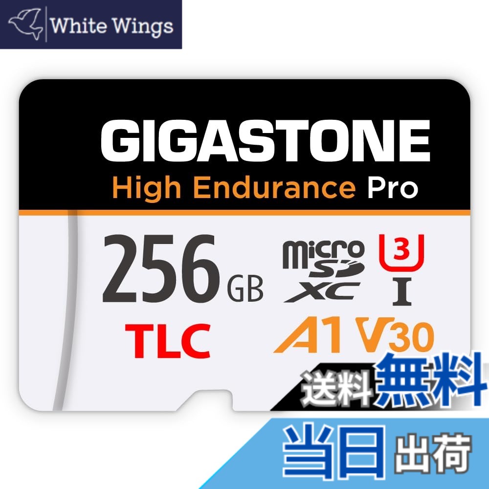 【貨物輸送無料】MSD-High Endurance Group 2 色：256GB High Endurance Pro 1-Pack