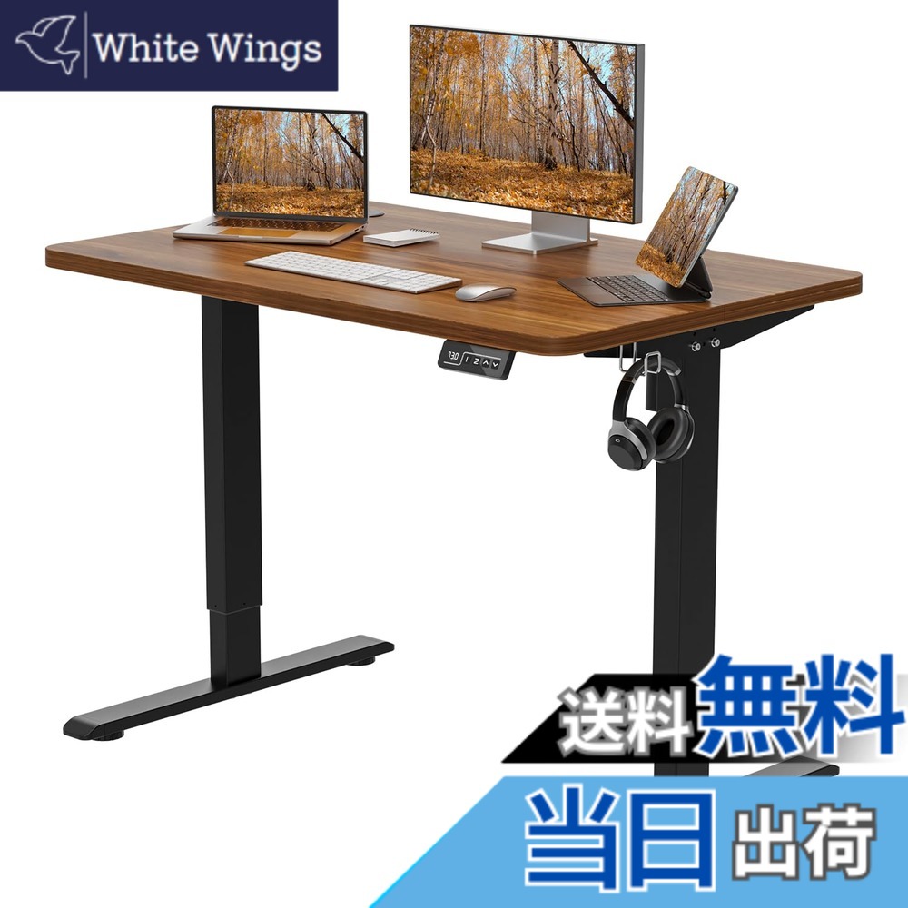 【貨物輸送無料】Anovara 昇降学習机 電動 昇降式学習机 電動昇降学習机 幅120珊 奥ふかさ60珊 上下昇降学習机 スタンディングデスク 事務室学習机 高さ記憶装置役立つこと 足手まといさがし当てる 静音 色：ウォール中毒者色、大きさ：100珊