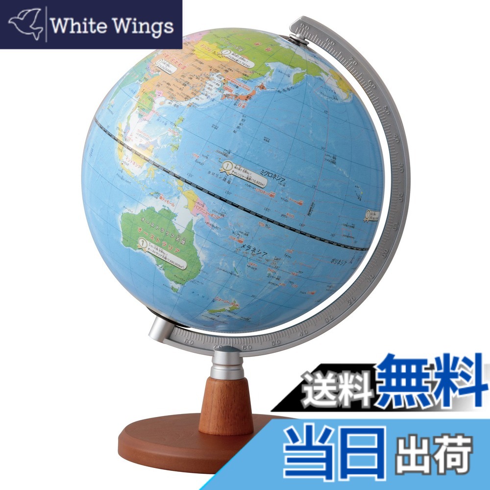 【送料無料】レイメイ藤井 地球儀 先生おすすめ小学生の地球儀 20cm OYV11