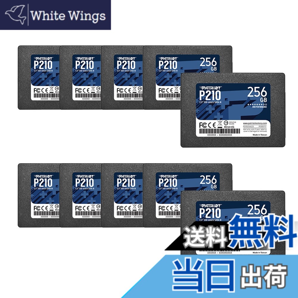 【貨物輸送無料】Patriot P210 SATA 3 256GB SSD 2.5 Inch Internal Solid State Drive 10 Pack, Lot of 10 - P210S256G2510