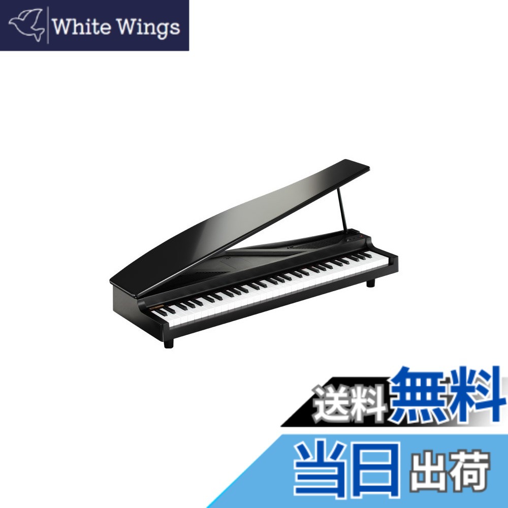 【送料無料】KORG MICROPIANO マイクロピアノ ミニ鍵盤61鍵 ブラック 61曲のデモソング内蔵 自動演奏可能