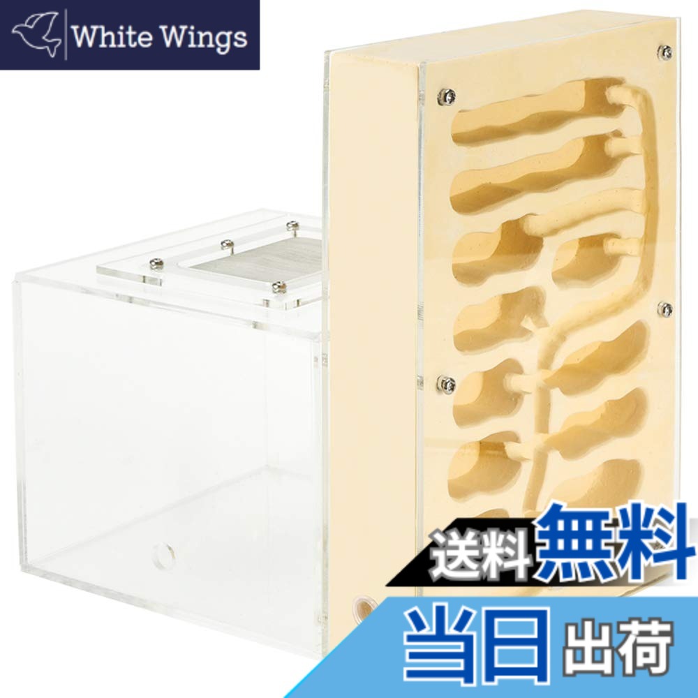 【送料無料】EnergyPower アリ飼育キット 石膏製巣箱 大型 アリ活動スペース付き 土やゲルを使用しないので腐らず清潔 お子様でも安心の観察キット 最初から巣穴ができあがっているので数の多いコロニーでもすぐに生活可能 保湿性が高く湿度管理がしやすい石膏巣の蟻専用