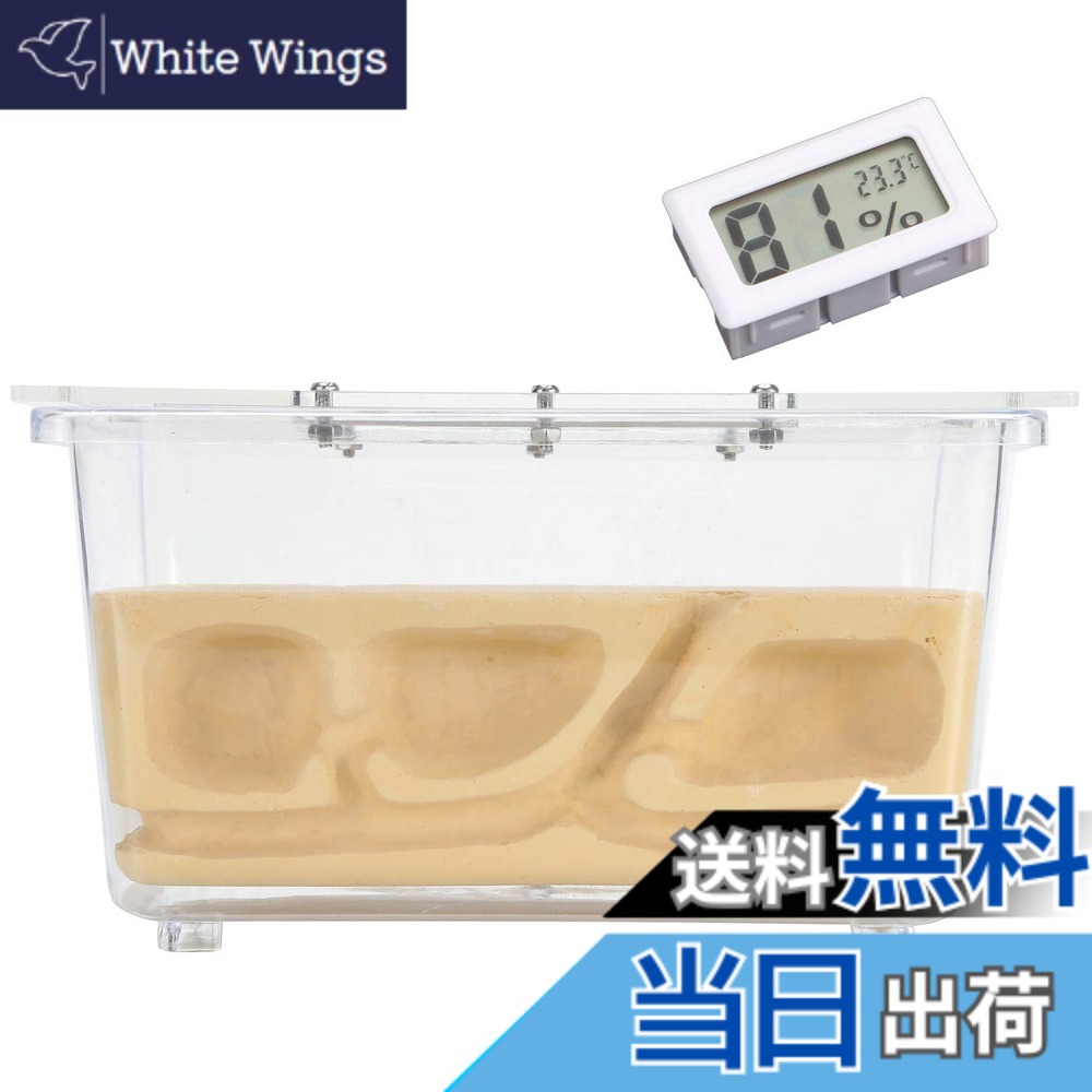 【送料無料】[EnergyPower] アリ飼育キット アクリル＆石膏巣箱 デジタル湿度/温度計付 土やゲル不使用 衛生的でお子様にも安心な観察キット 最初から巣ができあがっているので数の多いコロニーでもすぐに生活可能 保湿性が高く湿度管理がしやすい石膏巣の蟻専用飼育ケー