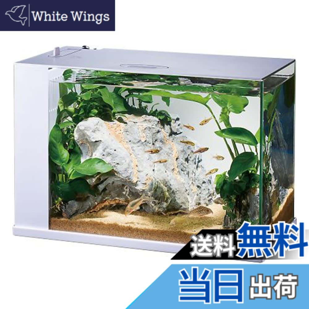 【貨物輸送無料】GEX AQUARIUM ラクテリア 水取り替えっこ飾り気の無い海洋博物館 水漉し・LED付き添い人 W34xD17.5xH24珊白いこと