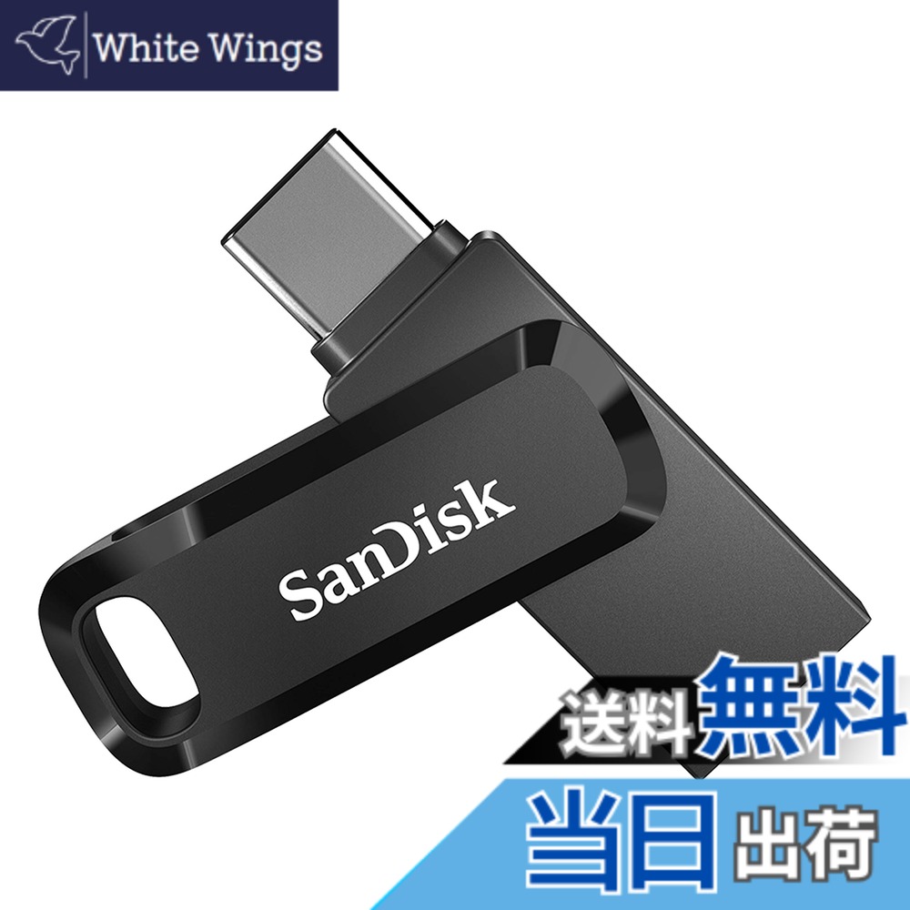 【送料無料】Sandisk SDDDC3-256G-G46 USB Memory 256GB