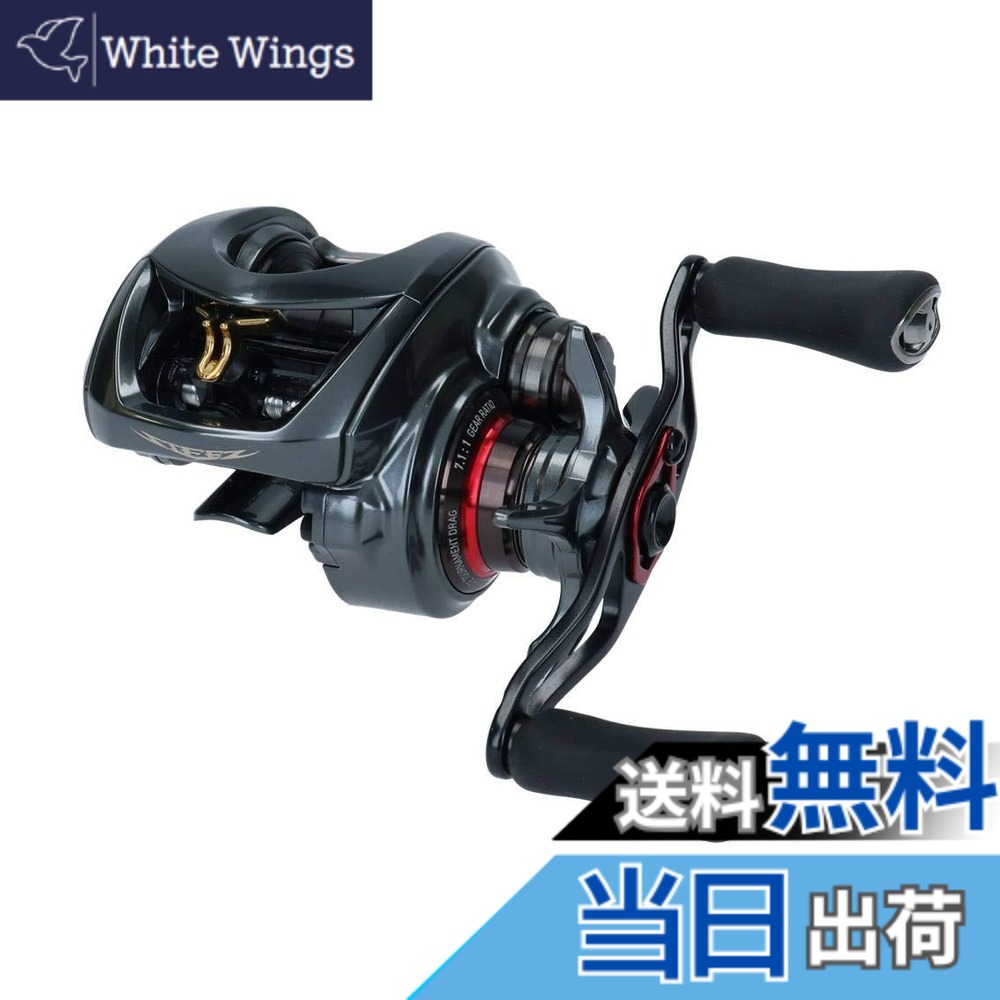 【送料無料】ダイワ(DAIWA) ベイトリール 19 スティーズ CT SV TW 700SHL(2019モデル)