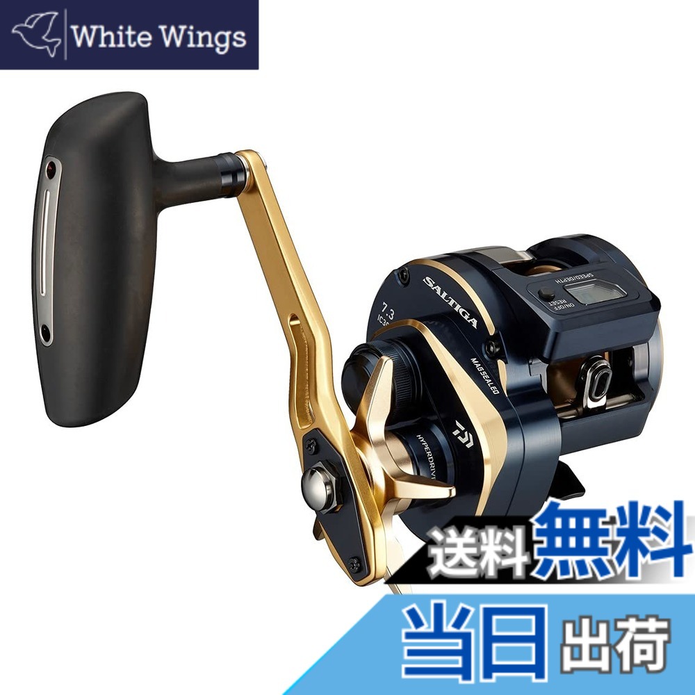 【送料無料】ダイワ(DAIWA) 21 ソルティガIC 300H-SJ|White Wings