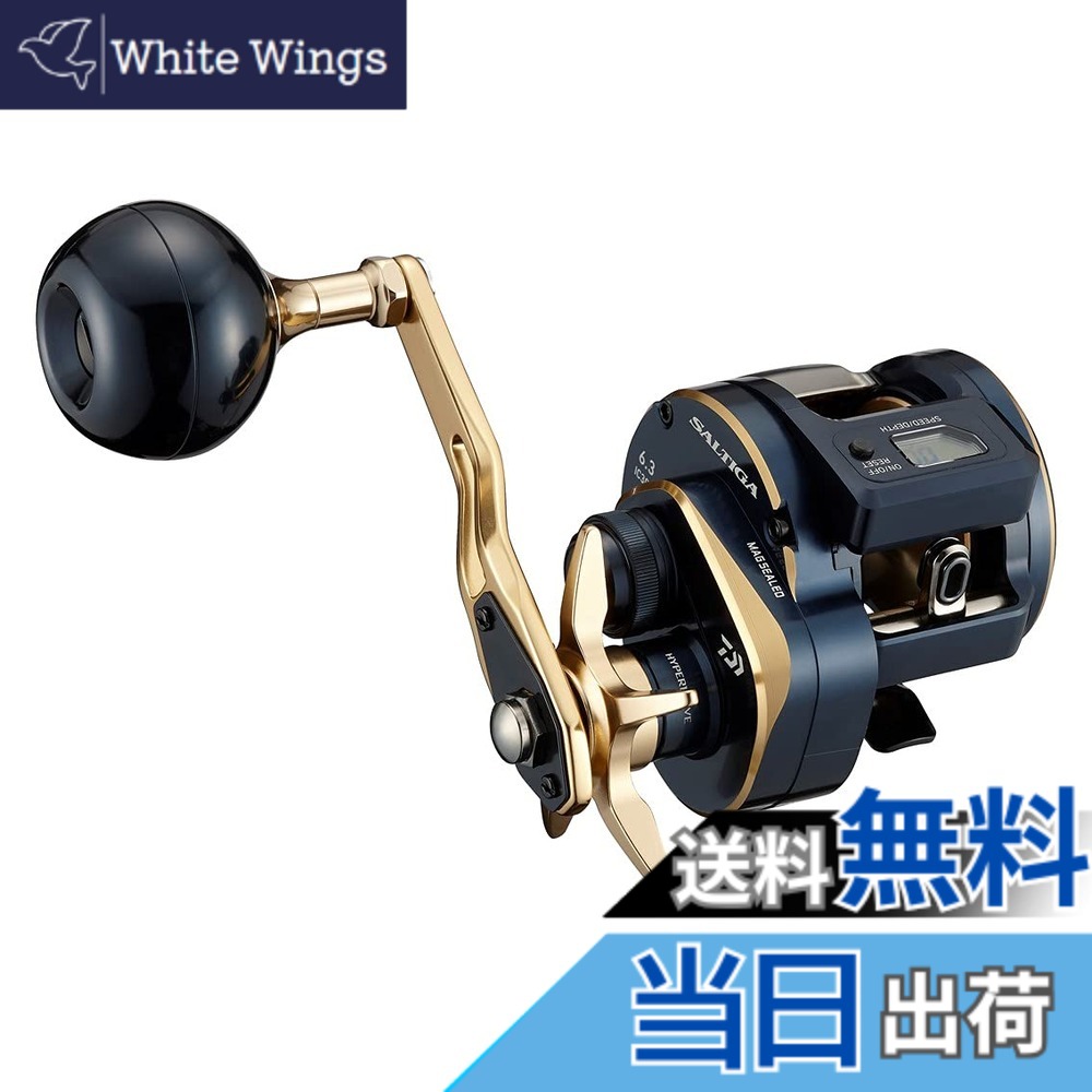 【送料無料】ダイワ(DAIWA) ジギング 21 ソルティガIC 300