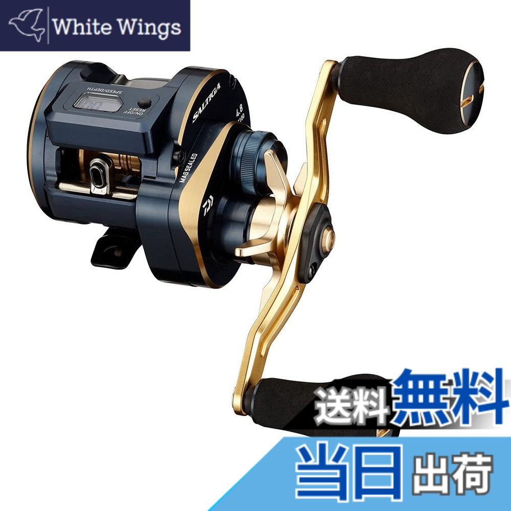【送料無料】ダイワ(DAIWA) 21 ソルティガIC 100PL-DH｜White Wings