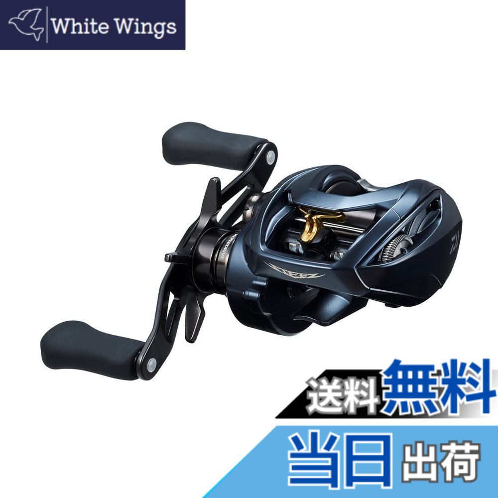 【送料無料】ダイワ(DAIWA) ベイトリール STEEZ(スティーズ) AII TW 1000 2022年モデル