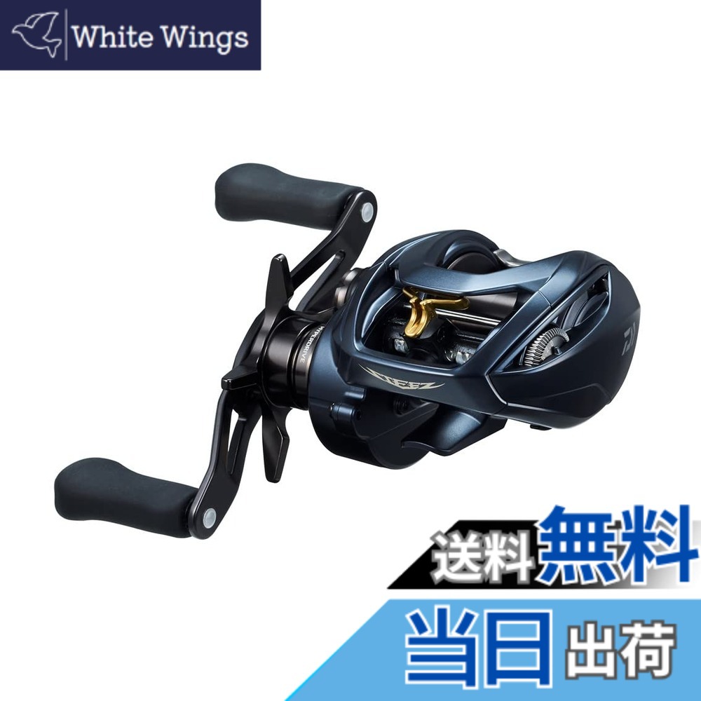 【送料無料】ダイワ(DAIWA) ベイトリール STEEZ(スティーズ) AII TW 1000XH 2022年モデル