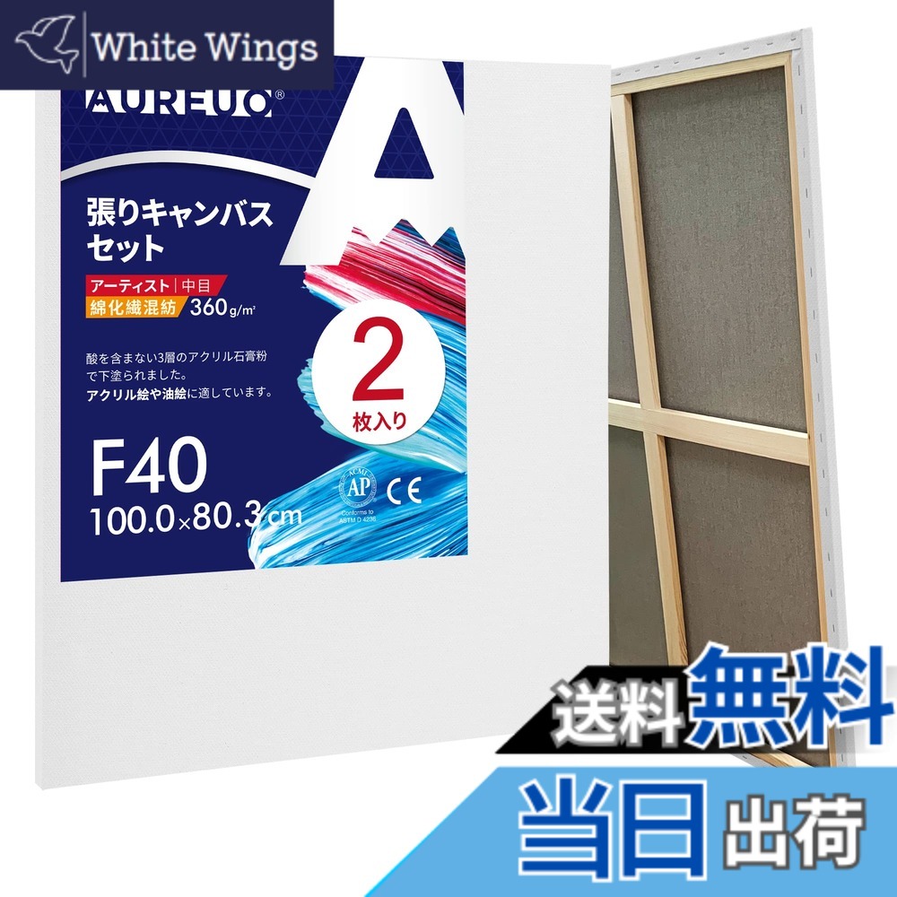 【送料無料】AUREUO 綿化繊混紡 張りキャンバス F40 (100.0cmX80.3cm) 2枚 - 中目布 水彩画・油絵画・アクリル兼用 - モダンアート・ポップアートに最適