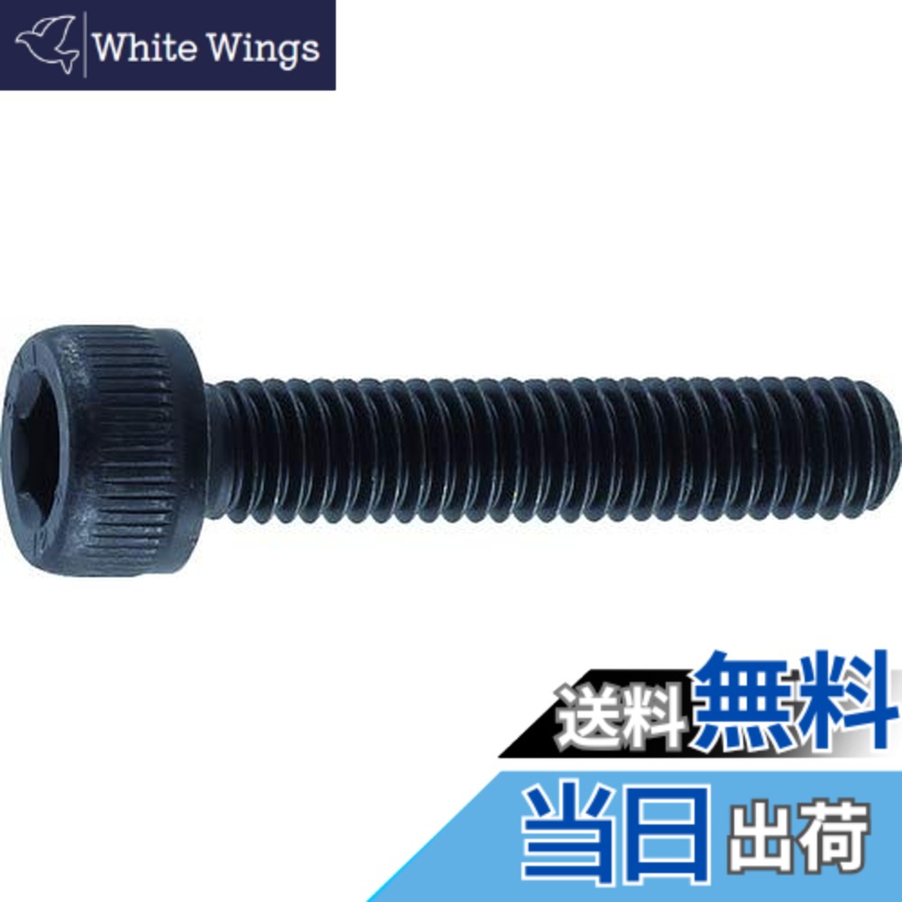 【貨物輸送無料】トラスコ中山(TRUSCO) 六角穴付雄捩子 全螺子釘 B300203 黒染め M2x3 31本入 x 10容器に並べる 【容れもの売りわたす】