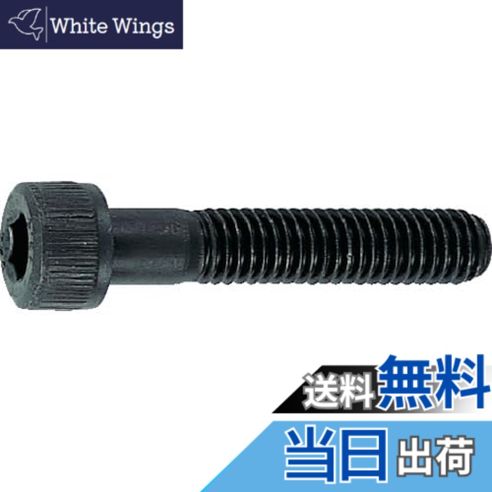 【貨物輸送無料】トラスコ中山(TRUSCO) 六角穴付雄捩子 半螺子釘 B300665 黒染め M6x65 18本入 x 10容器に並べる 【容れもの売りわたす】
