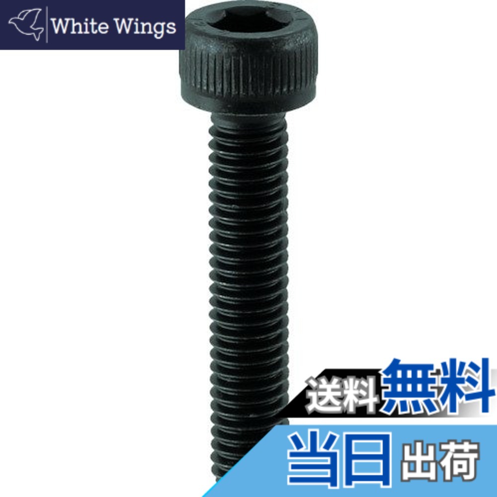 【貨物輸送無料】トラスコ中山(TRUSCO) 六角穴付雄捩子 全螺子釘 B301620 黒染め M16x20 5本入 x 10容器に並べる 【容れもの売りわたす】