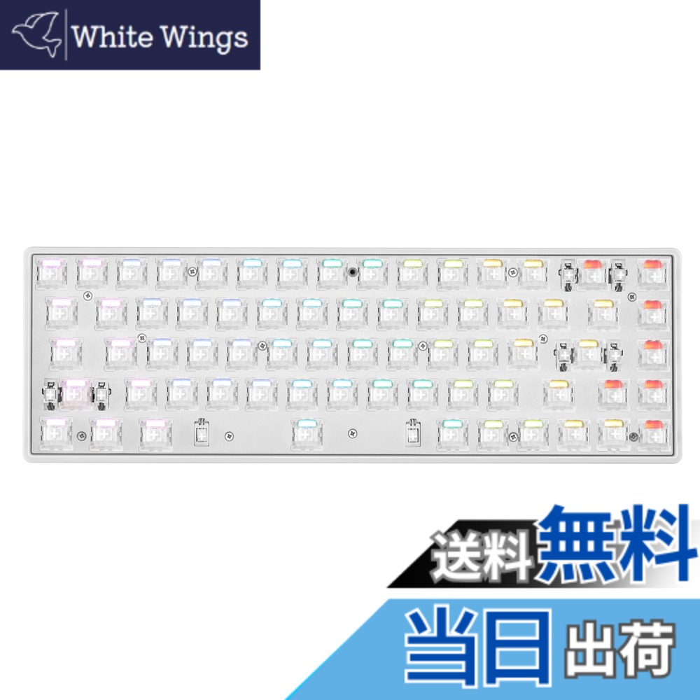 【送料無料】DrunkDeer G65 eスポーツゲーミングキーボード、ラピッドトリガーキーボード - ホール効果スイッチ - 磁気スイッチ - ラストウィン＆リリースデュアルトリガーモード - 調整可能な作動、白い - ベアボーン