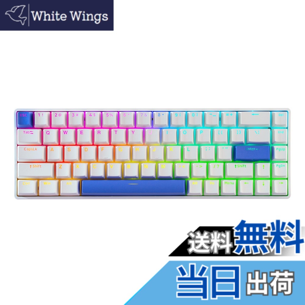 【送料無料】DrunkDeer G65 eスポーツゲーミングキーボード、ラピッドトリガーキーボード - ホール効果スイッチ - 磁気スイッチ - ラストウィン＆リリースデュアルトリガーモード - 調整可能な作動、ホワイト ペリー｜White Wings