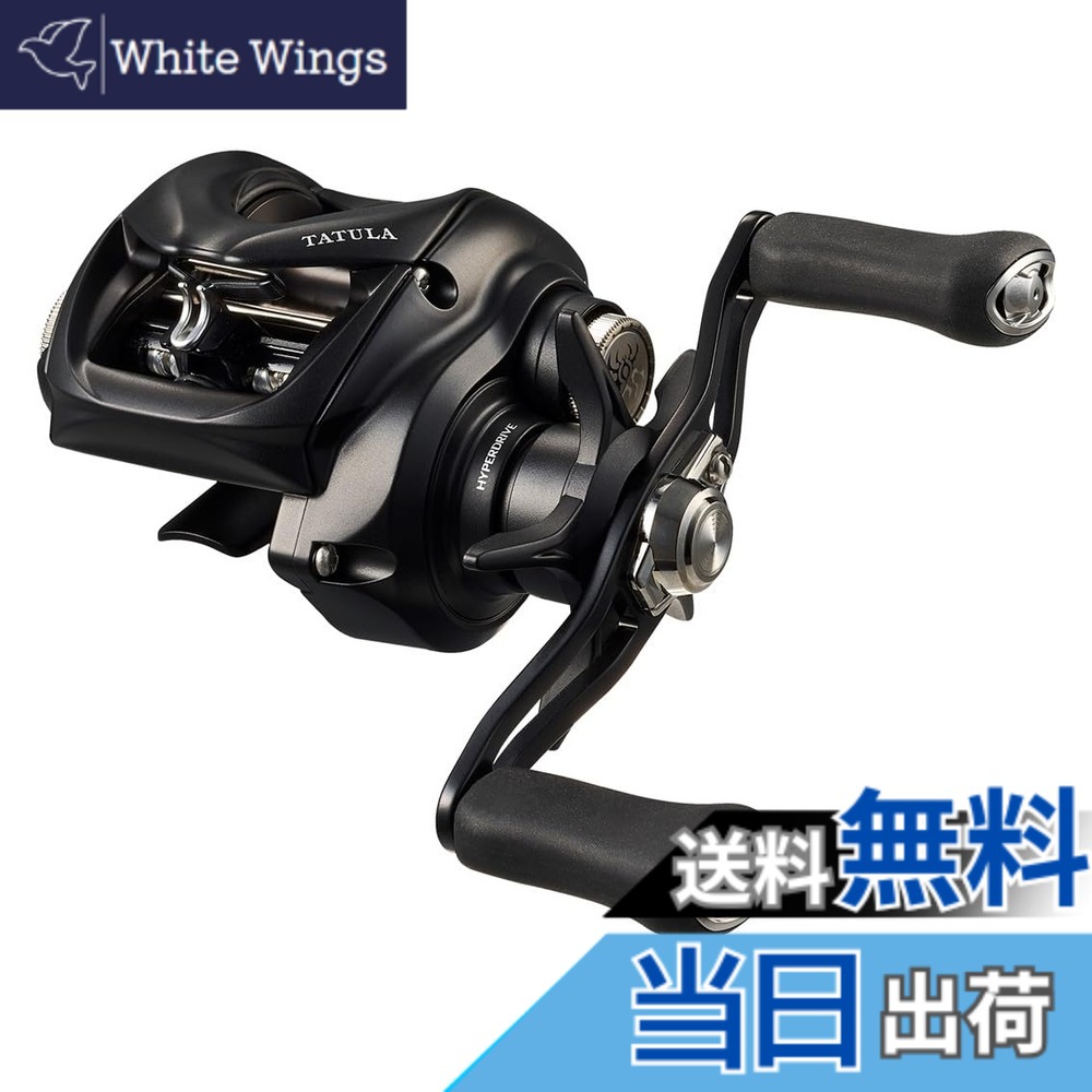 【送料無料】ダイワ(DAIWA) ベイトリール 24TATULA TW 100HL