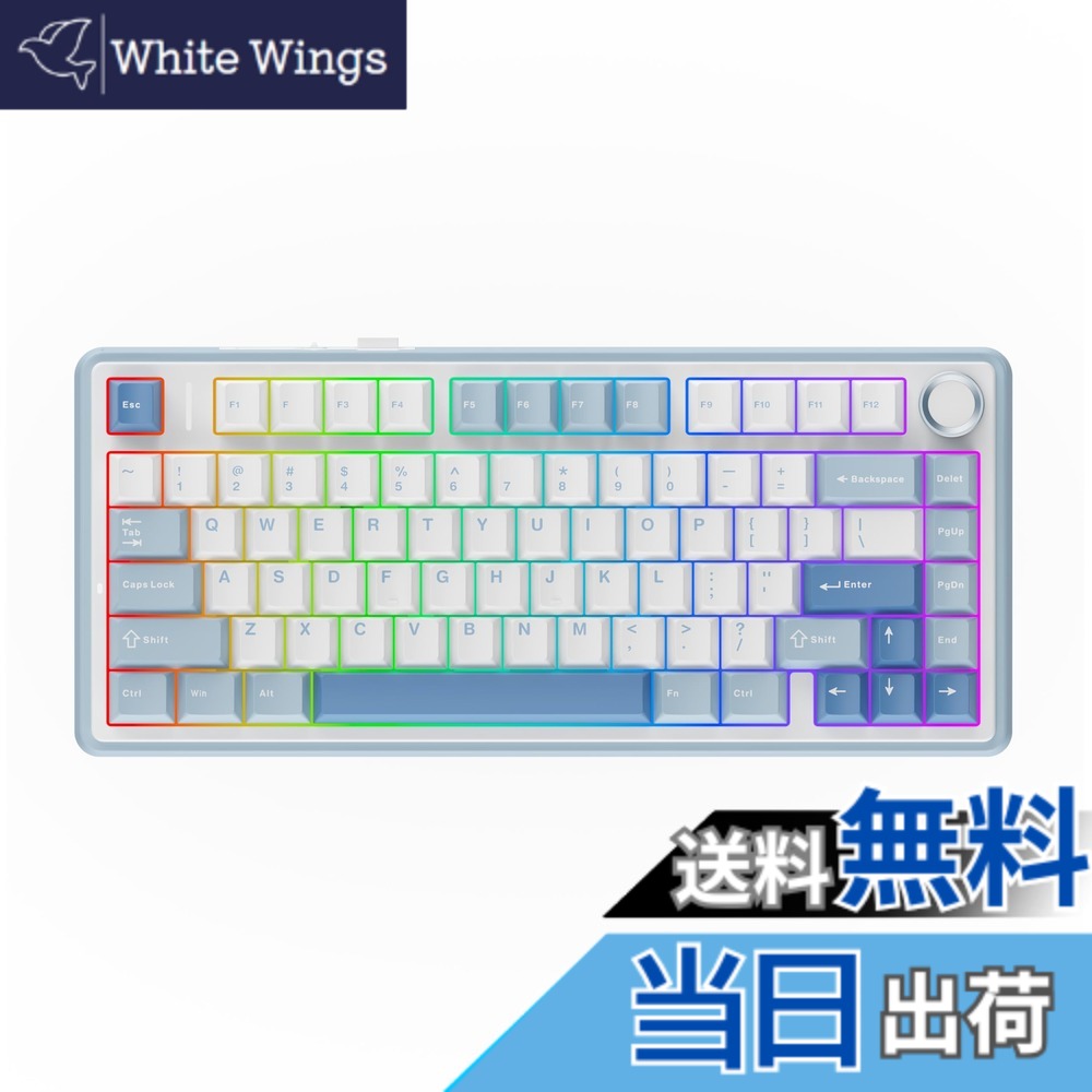 【送料無料】EPOMAKER x Aula F75 ゲーミングキーボード ガスケット メカニカルキーボード 5層パッド＆ノブ付き 75% ワイヤレス ホットスワッパブル Bluetooth/2.4GHz/USB-C RGB 技適認証取得 (Sea Salt Blue, LEOBOG Reaper Switch) 13,152円