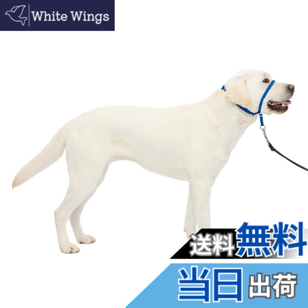 【貨物輸送無料】PetSafe（愛玩動物セーフ） ジェントルリーダー 引っ張り押しとどめる 天々色合い 犬用 ほっつき歩く形づくる 色：ロイヤル青碧、大いさ：L大いさ (x 1)