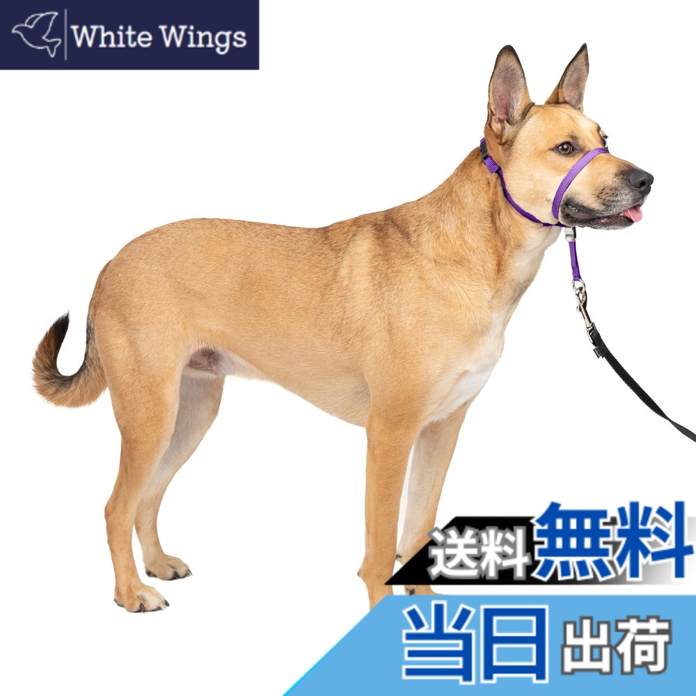 【貨物輸送無料】PetSafe（愛玩動物セーフ） ジェントルリーダー 引っ張り押しとどめる 天々色合い 犬用 ほっつき歩く形づくる 色：ディープパープル、大いさ：M大いさ (x 1)