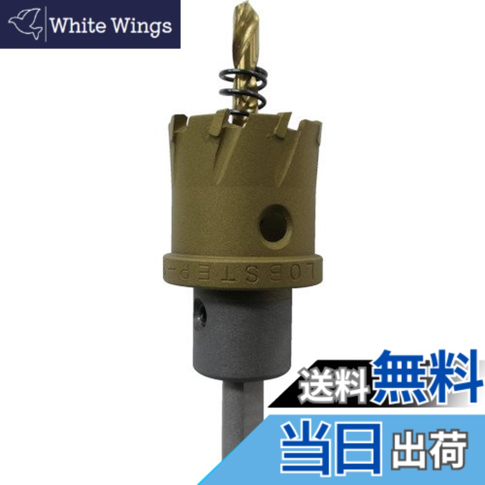 【送料無料】エビ 超硬ホルソー サイズ：刃径(mm):34｜White Wings