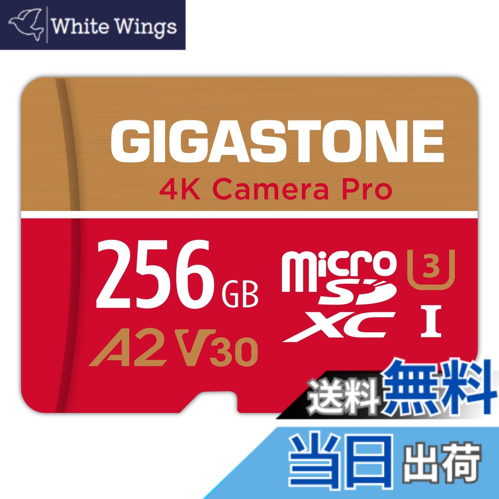 【貨物輸送無料】GIGASTONE マイクロsd歌留多 256-4-1 Core Group 色：256GB Camera Pro 1枚仕掛ける、大きさ：CAMERA PRO