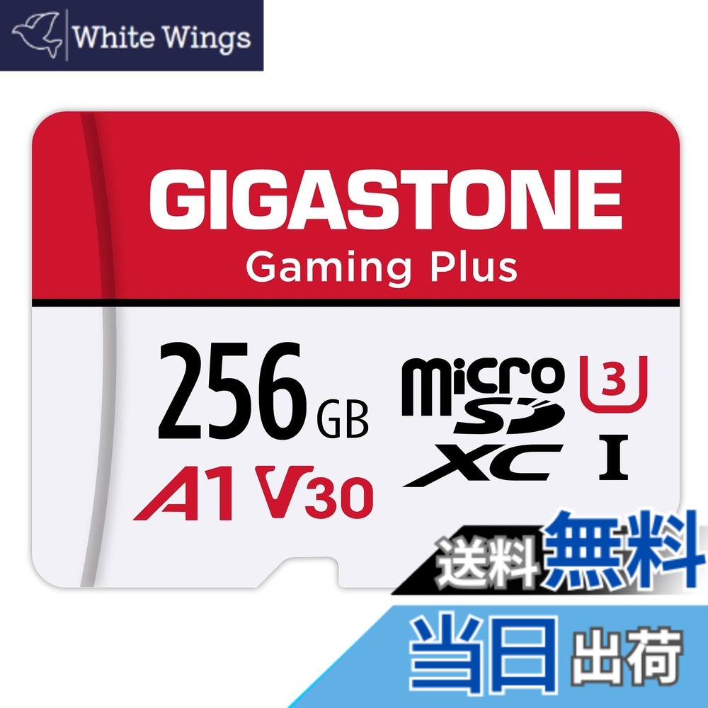 【貨物輸送無料】GIGASTONE マイクロsd歌留多 256-2-1 Core Group 色：256GB Gaming Plus 1枚仕掛ける