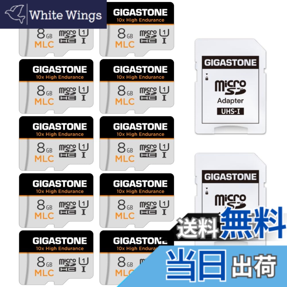 【貨物輸送無料】MSD-High Endurance Group 1 色：8GB High Endurance 10-Pack