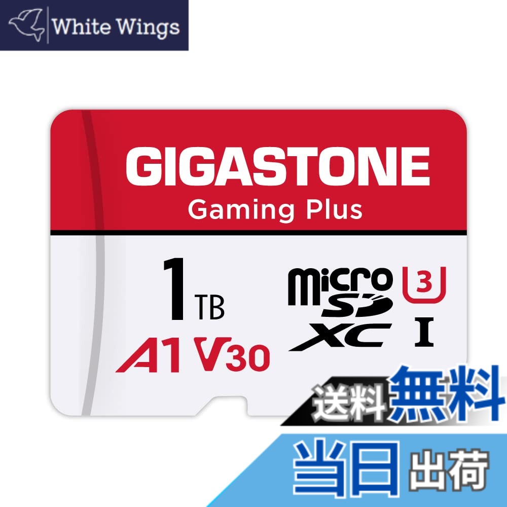【貨物輸送無料】GIGASTONE マイクロsd歌留多 1結核症-2-1 Core Group 色：1結核症 Gaming Plus 1枚仕掛ける、大きさ：1結核症