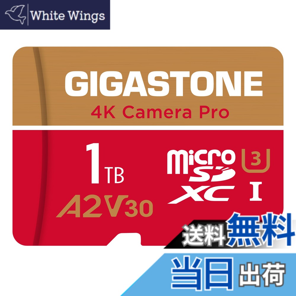 【貨物輸送無料】GIGASTONE マイクロsd歌留多 1結核症-4-1 Core Group 色：1結核症 Camera Pro 1枚仕掛ける、大きさ：Pro Series