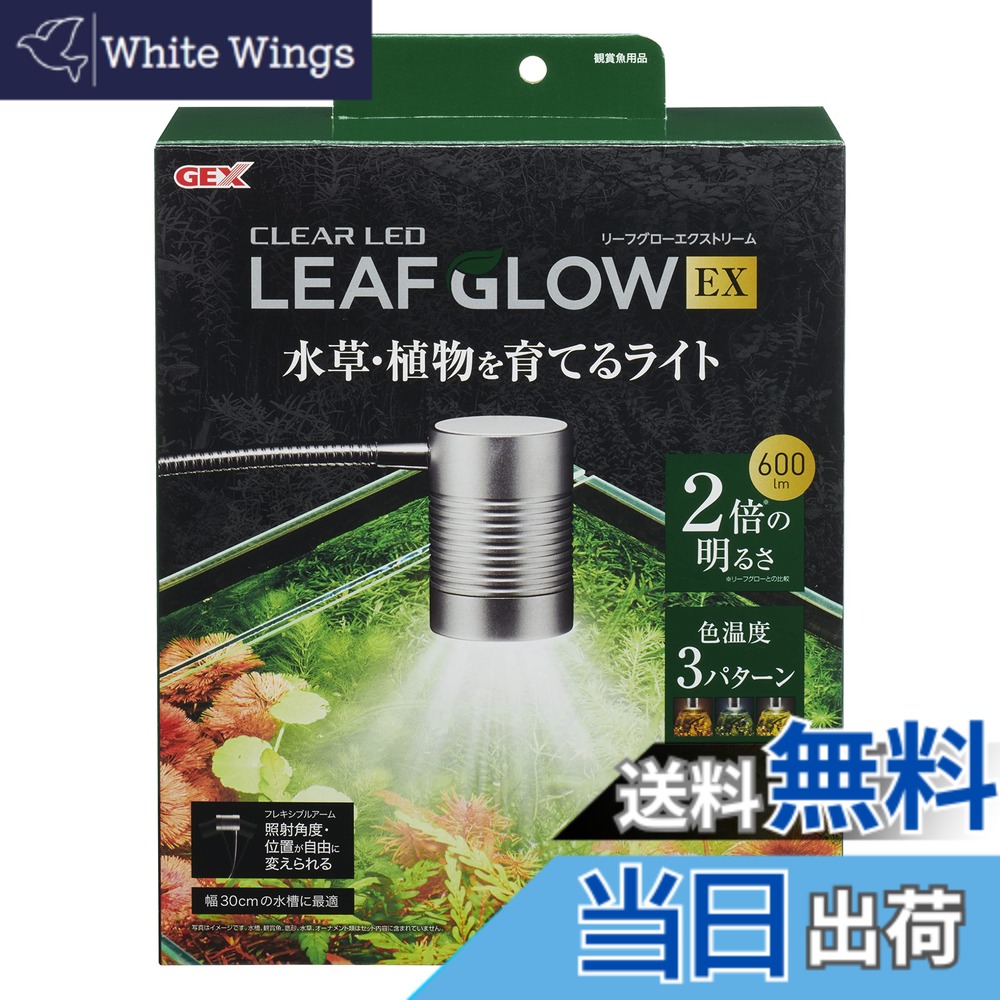 【貨物輸送無料】ジェックス リーフグロー 色：せつ然たる、大いさ：1個 (x 1)