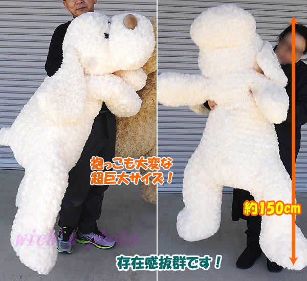 楽天市場 送料無料 全長150cmの超巨大 犬のぬいぐるみ トイプードル 白 Plush Puppy ウイッチ