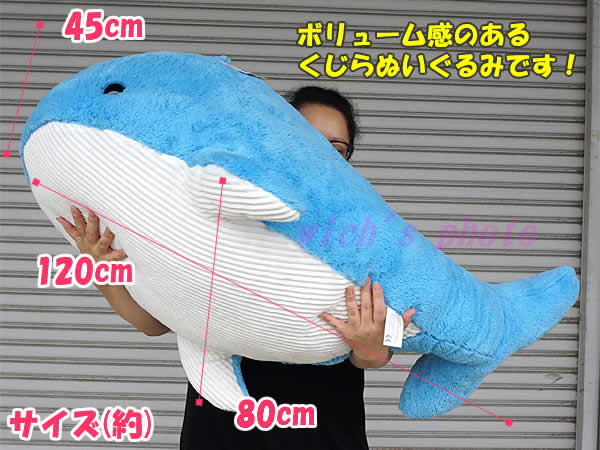 格安人気 Costco コストコ 巨大クジラ ぬいぐるみ 着払い 注目ブランド Kotsadoroiladas Gr