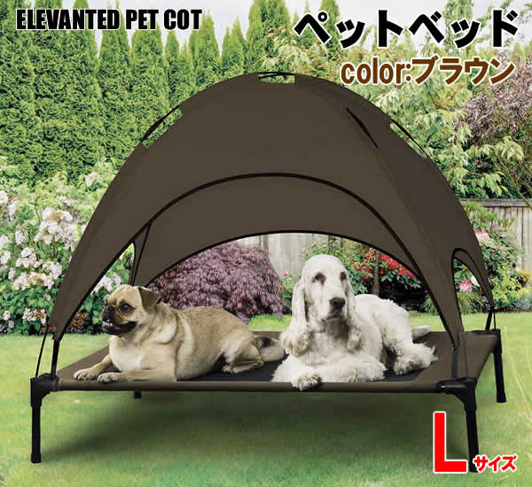 楽天市場】【当日発送品◎】大型犬用 特大サイズ カークランド