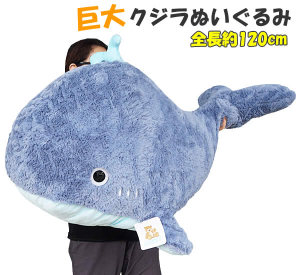 いるかのぬいぐるみ みいるかマーケット-by VILLAGE VANGUARD-」 開催中！ | ポップアップ