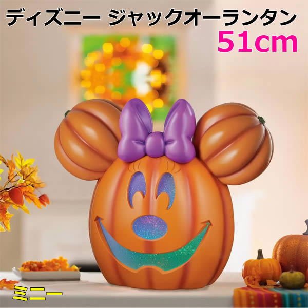 ディズニー　ハロウィン　提灯　ハンドライト　点灯してますが保証なし hlw05-01.jpg